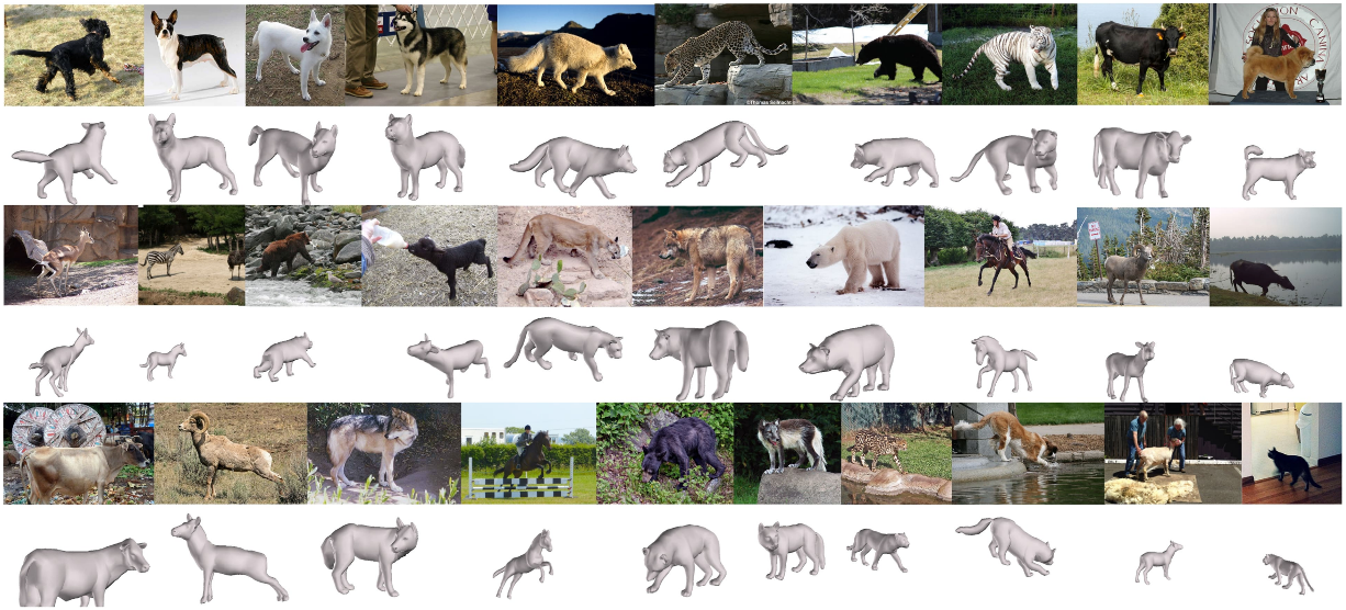 Animal3D